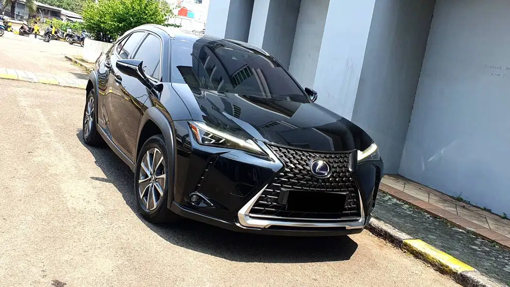 [ LOW KM 22RB ] Lexus UX300 UX 300 Electric EV AT 2022 2023