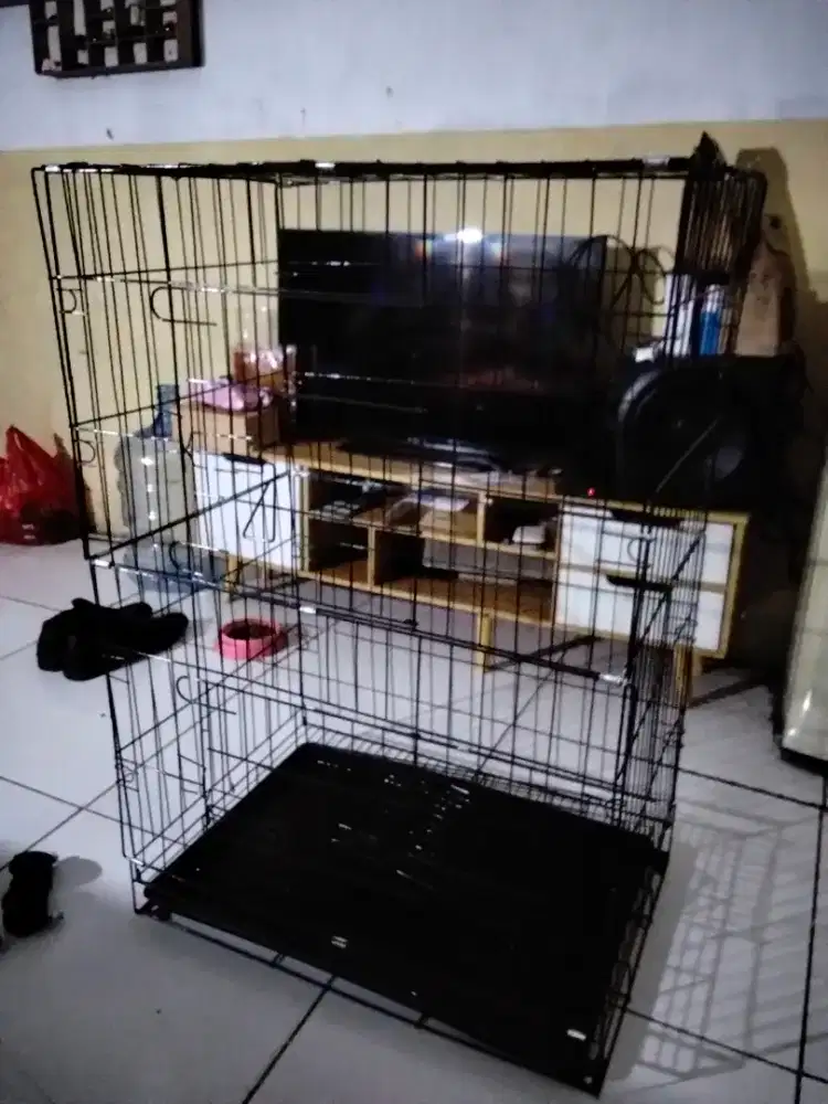Kandang jumbo 3 tingkat