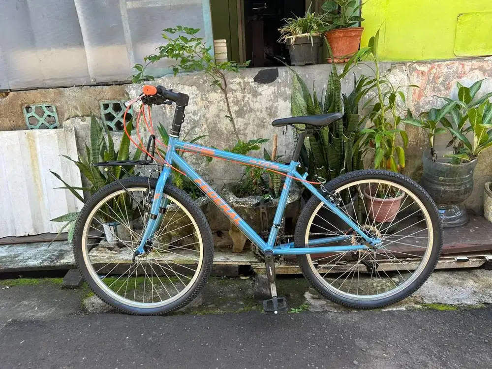 Commuter Bike Federal