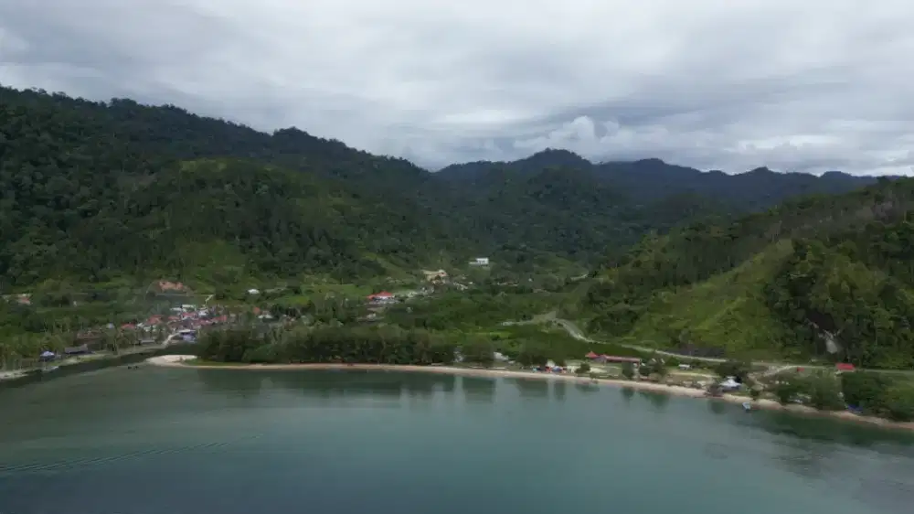 Dijual tanah bonus rumah lokasi wisata mandeh