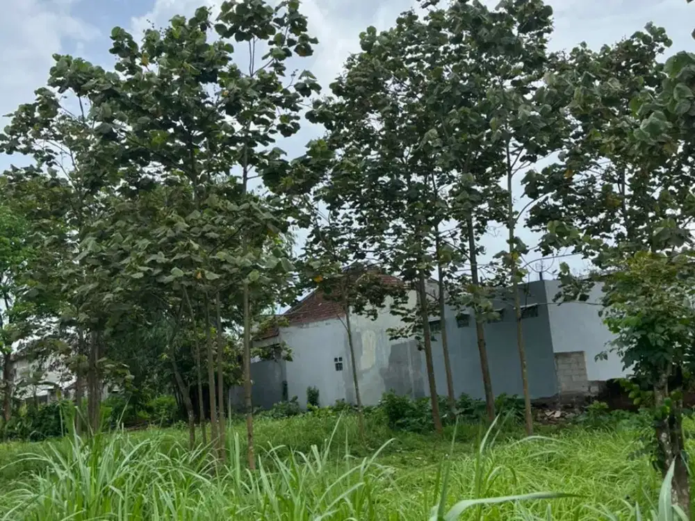 Dijual Tanah Lokasi Strategis dan Komersil Sawojajar Malang