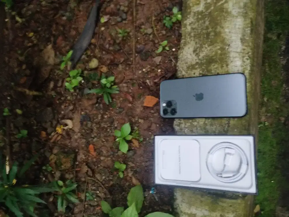 iPhone 11 pro 256gb warna masih alami