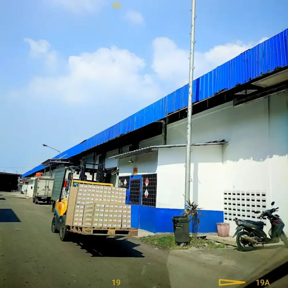 Dibutuhkan segera admin gudang dan packing