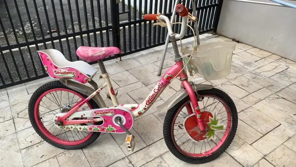 Sepeda Anak Strawberry