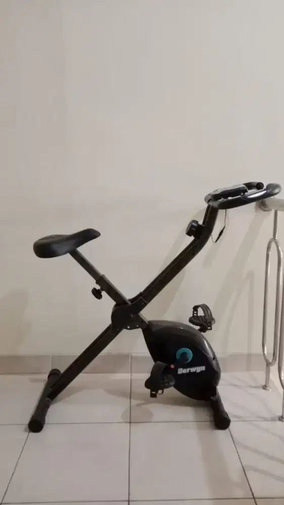 Sepeda Statis Berwyn NS-654