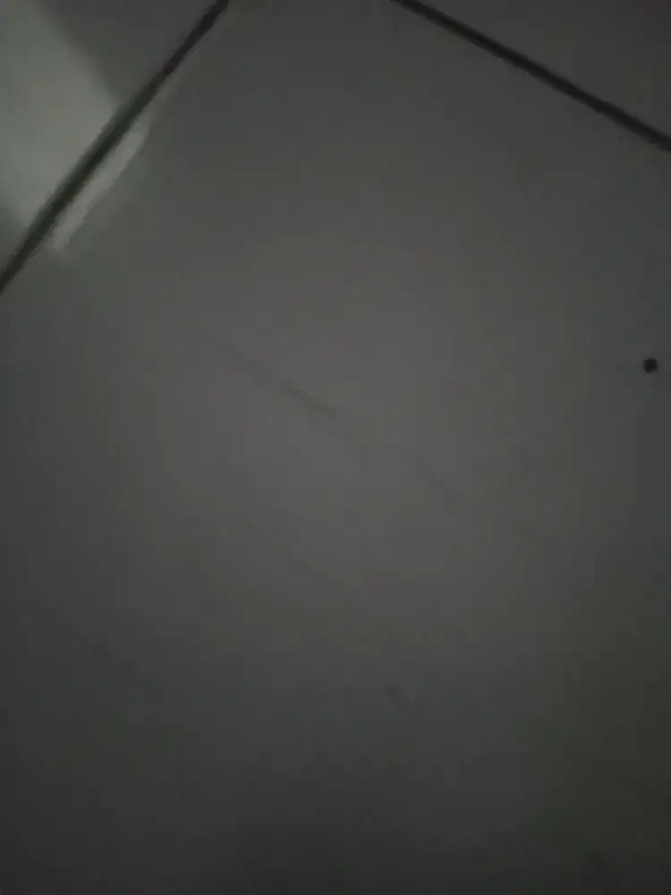 Jasa Supir Harian dan Bulanan