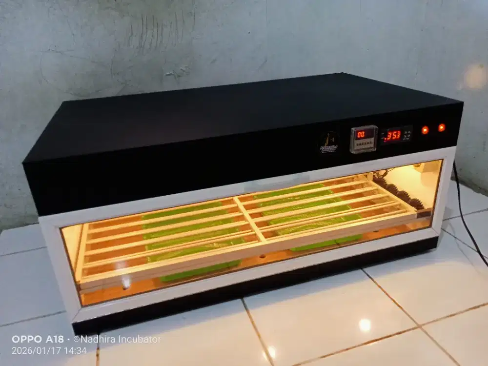 Mesin tetas telur otomatis kapasitas 100