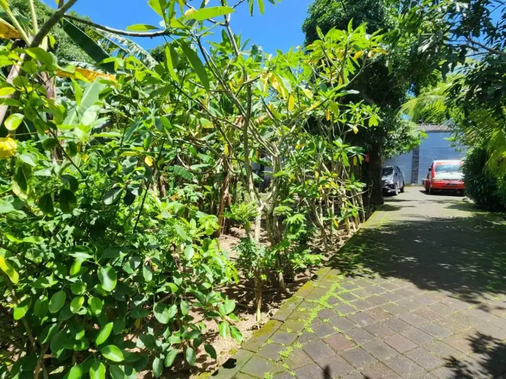 Tanah Premium 8 Are View Laut dan Gunung Dijual, di Nusa Dua Area