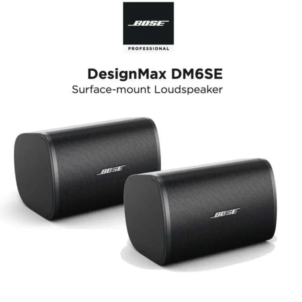 Bose DesignMax DM6SE