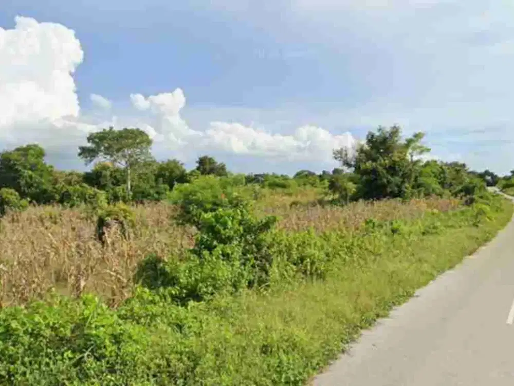 Dijual murah tanah dekat pantai Sumba Barat Daya