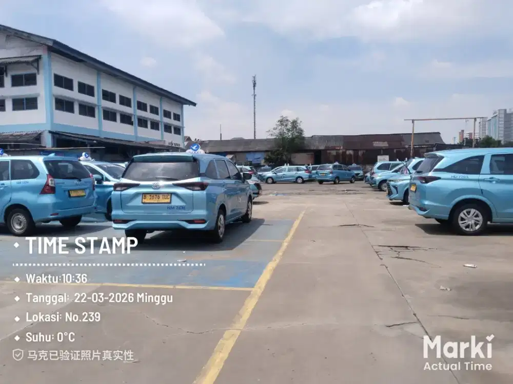 Driver taksi Bluebird