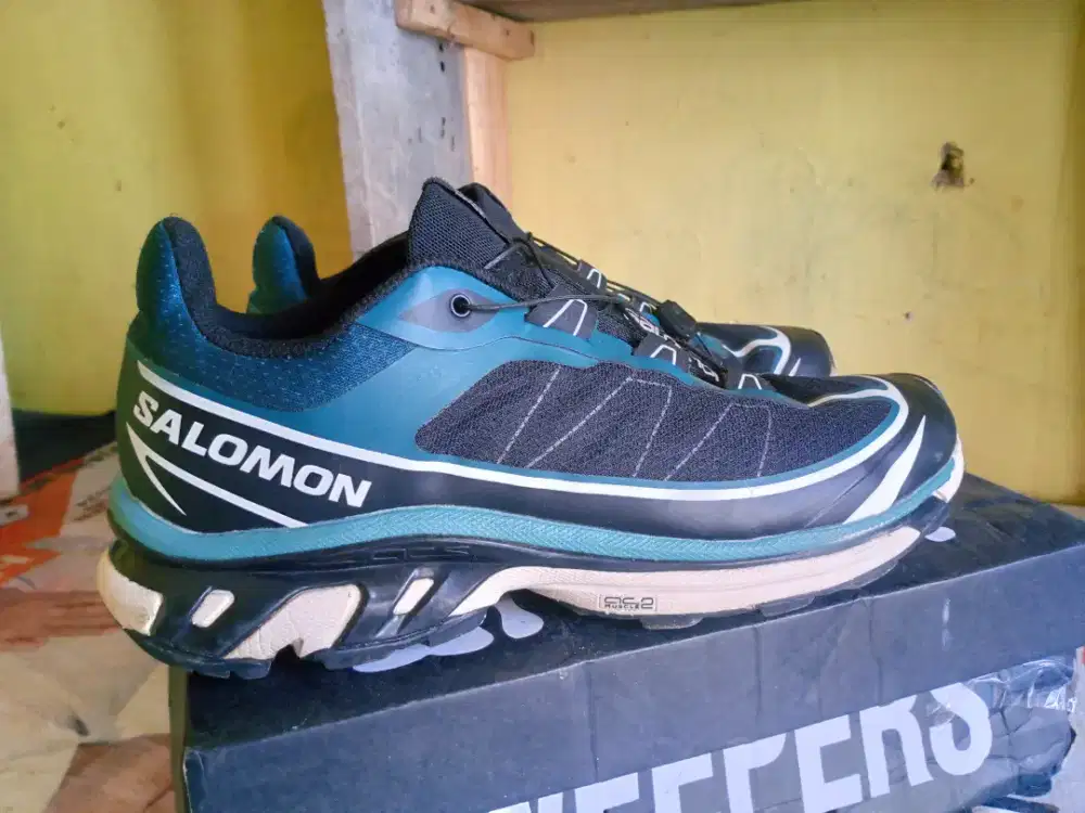 Jual sepatu salomon xt6