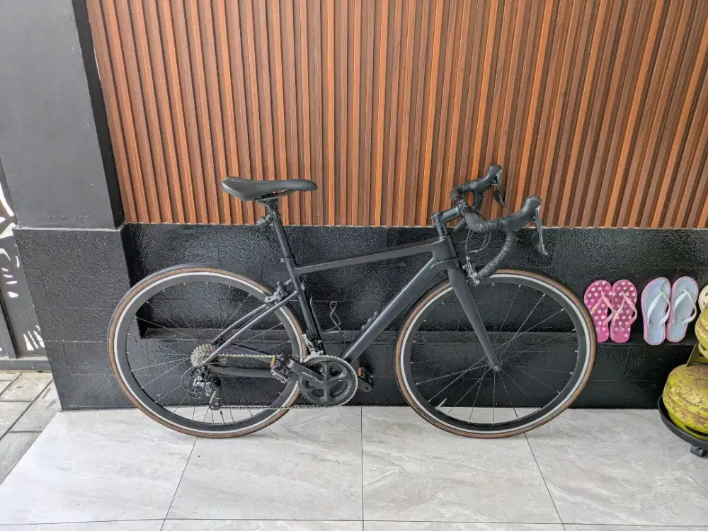 Roadbike carbon