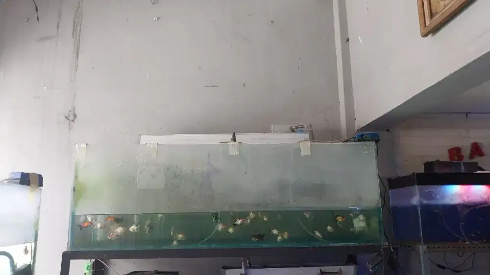 Aquarium Bekas 1,5m