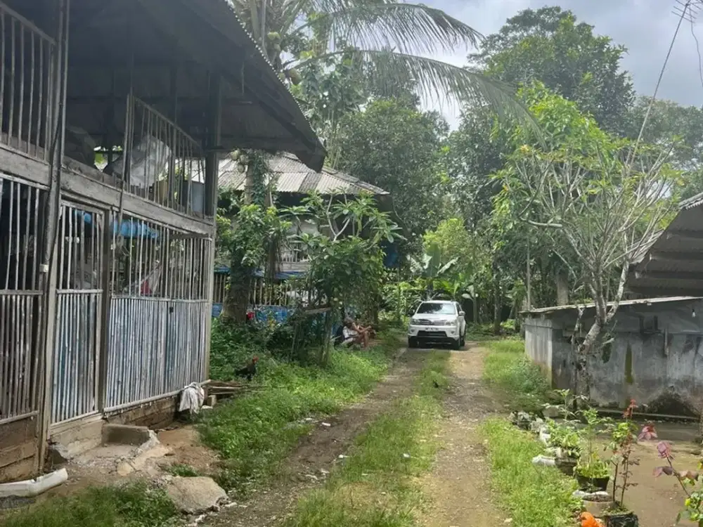 LAND URGENT SALE IN UBUD, WITH STRONG INVESTMENT POTENTIAL.