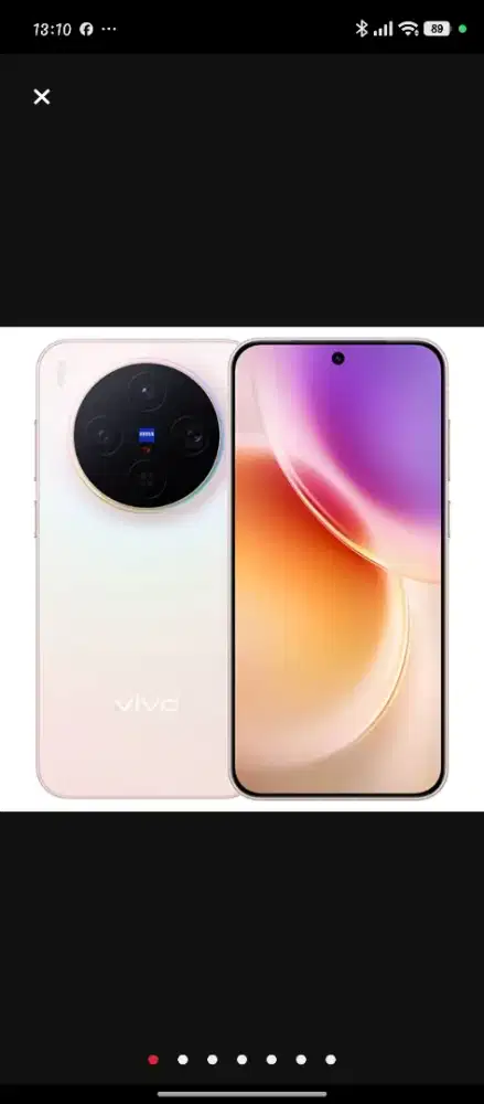 Vivo x300 12/256