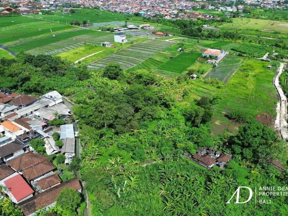 FREEHOLD & LEASEHOLD LAND OPPORTUNITY IN PADONAN - CANGGU