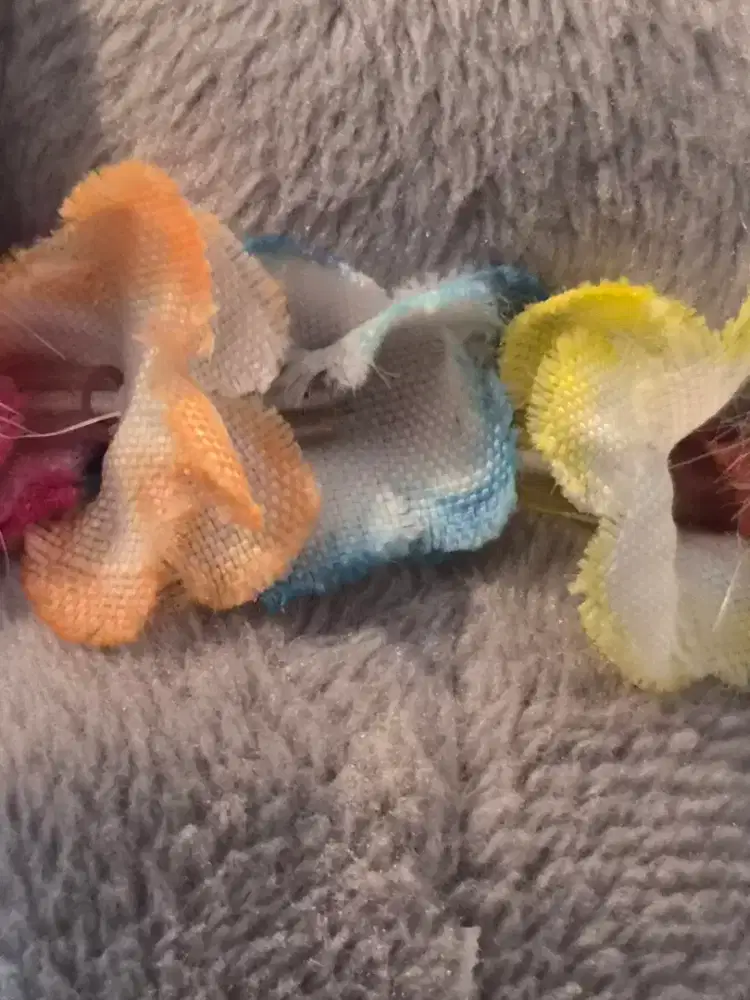 LOWONGAN KERJA BATIK