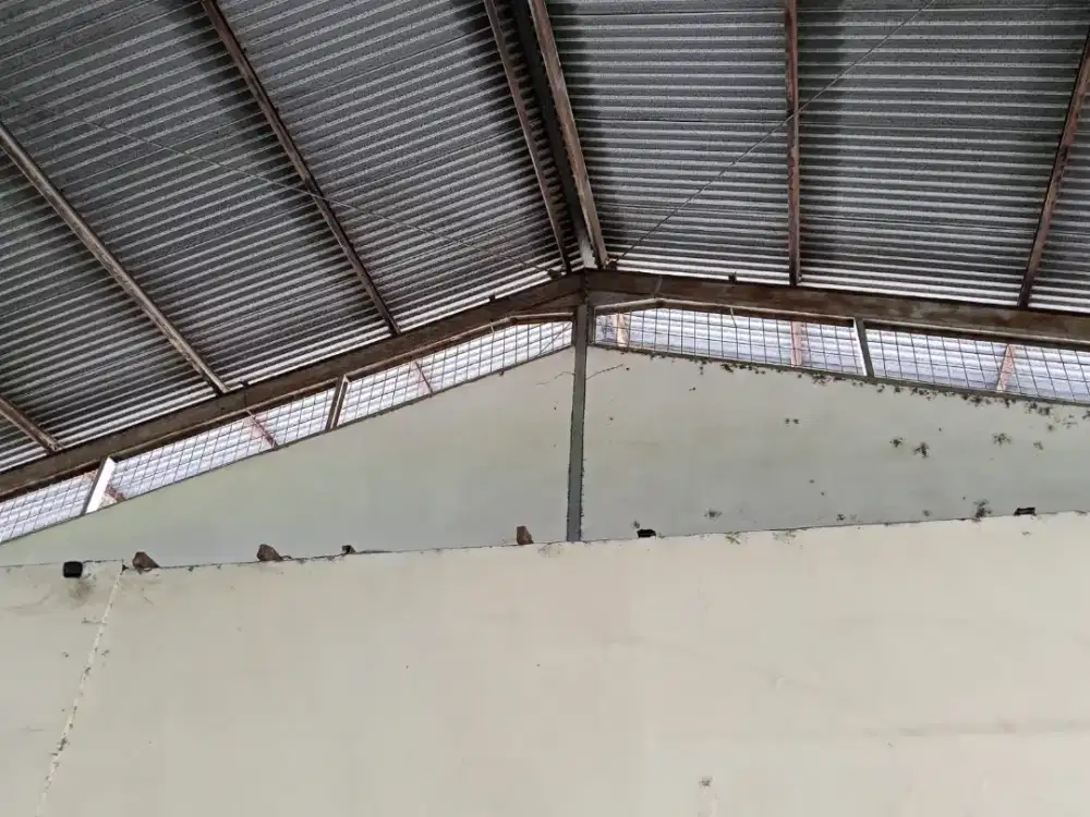 Jasa listrik, jasa atap bocor