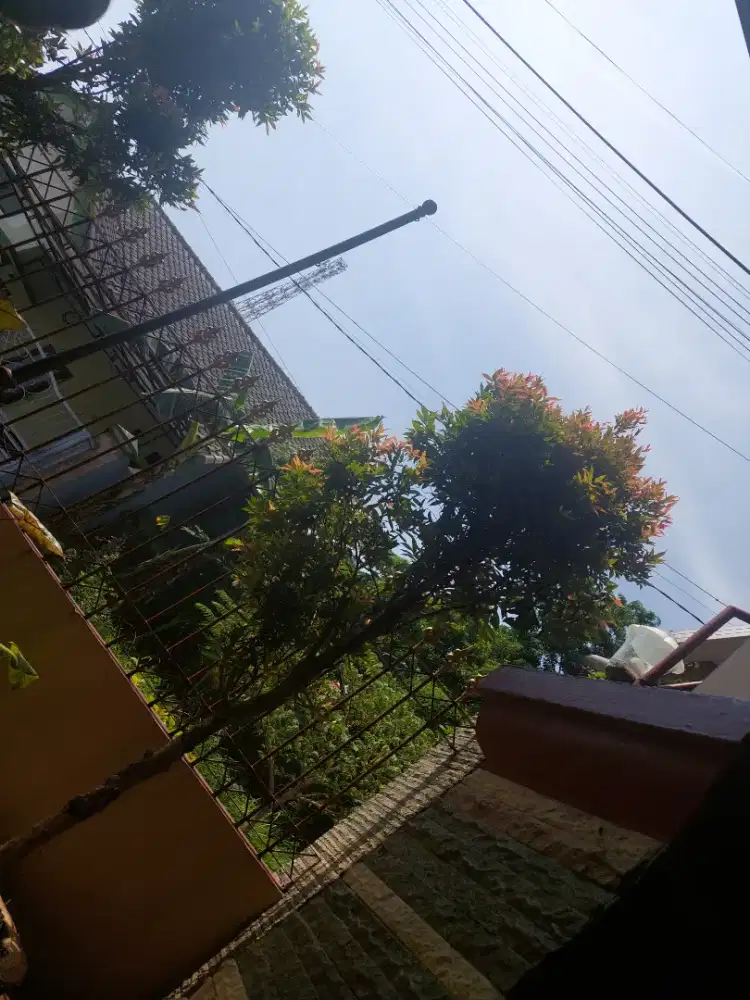 Majikan langsung, butuh ART segera