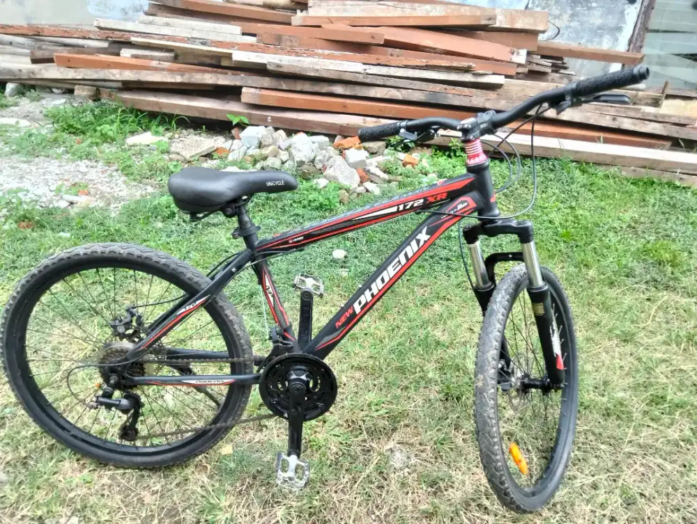 Jual MTB 24 in merk phoenix