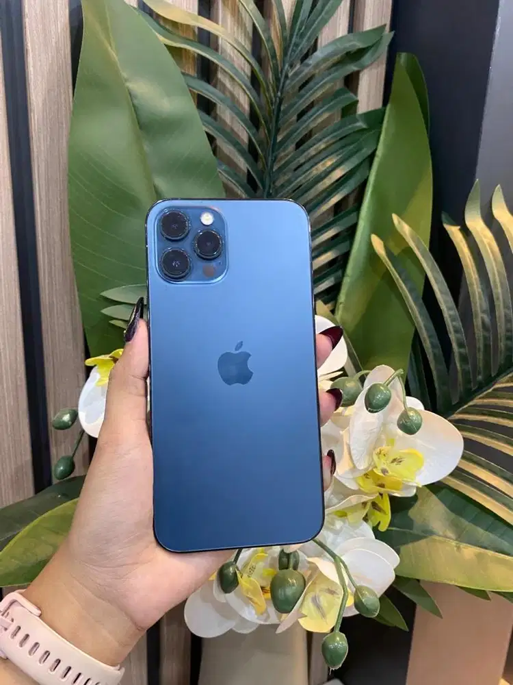 sec beacukai 12 pm 256GB pacific blue