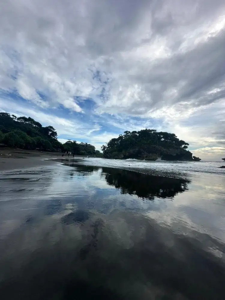 Dicari art +pengasuh