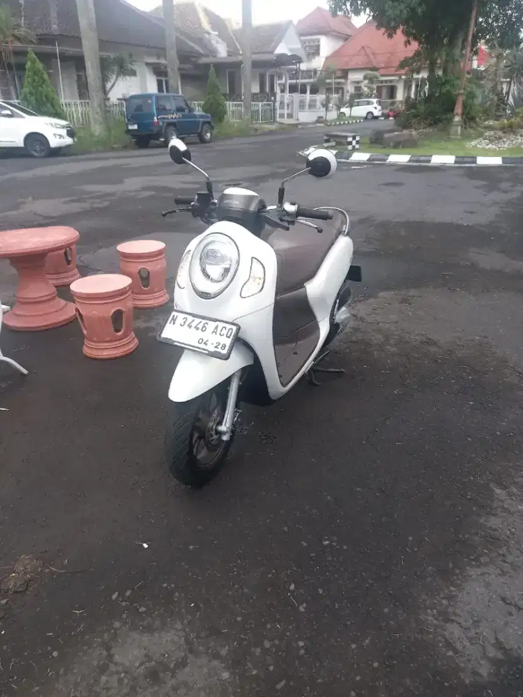 Scoopy Prestige 2023