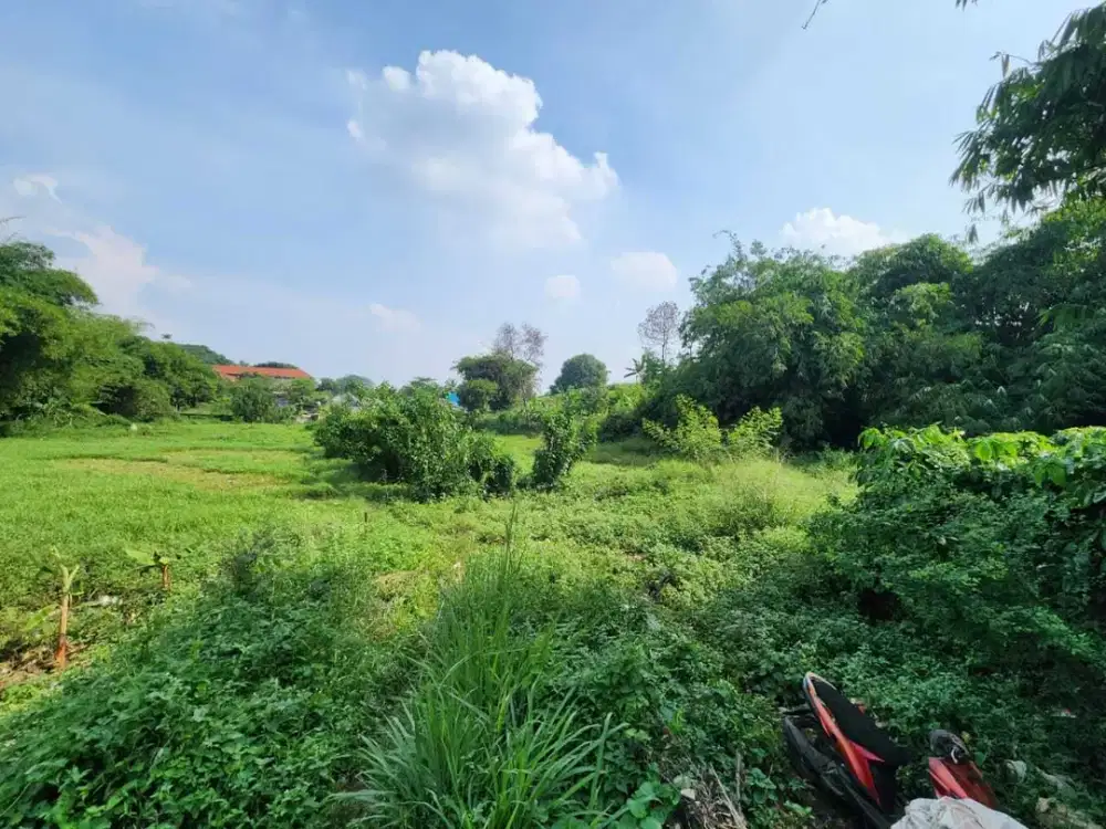 Tanah Lokasi Bagus Buat Cluster / Sekolah / Pesantren / Gedung / Panti