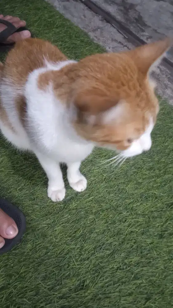 Jasa ART / pembantu harian