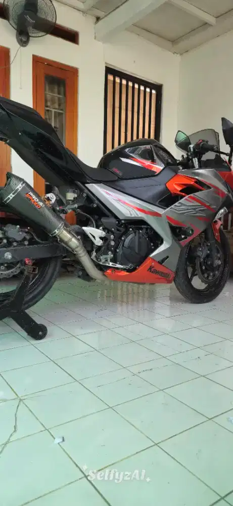 Kawasaki New ninja 250