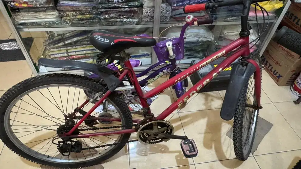 Sepeda federal bisa nego