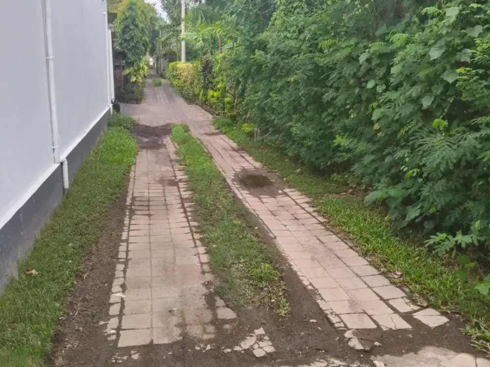 JUAL TANAH LANGKA SANUR