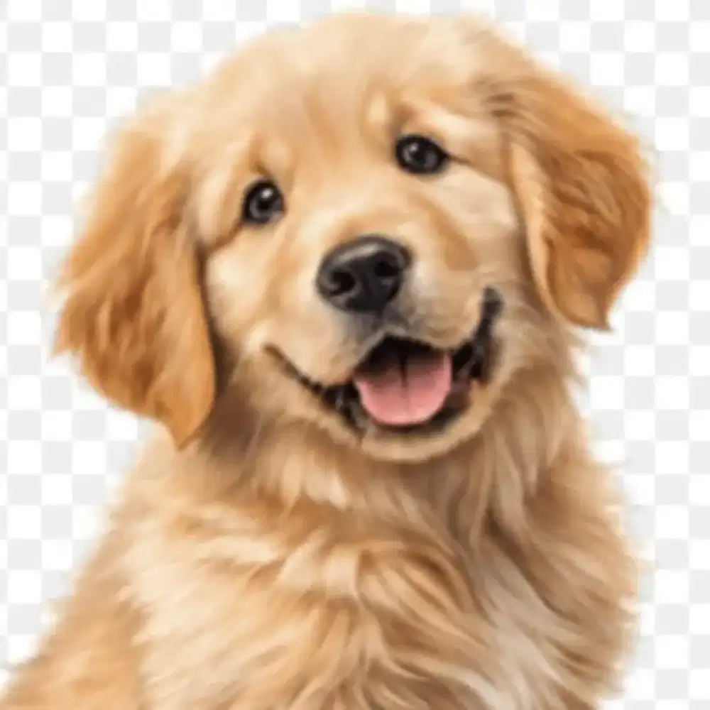 Dibutuhkan segera administrasi