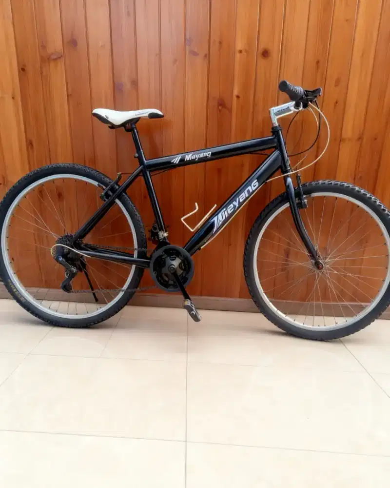 Sepeda gunung dewasa bekas