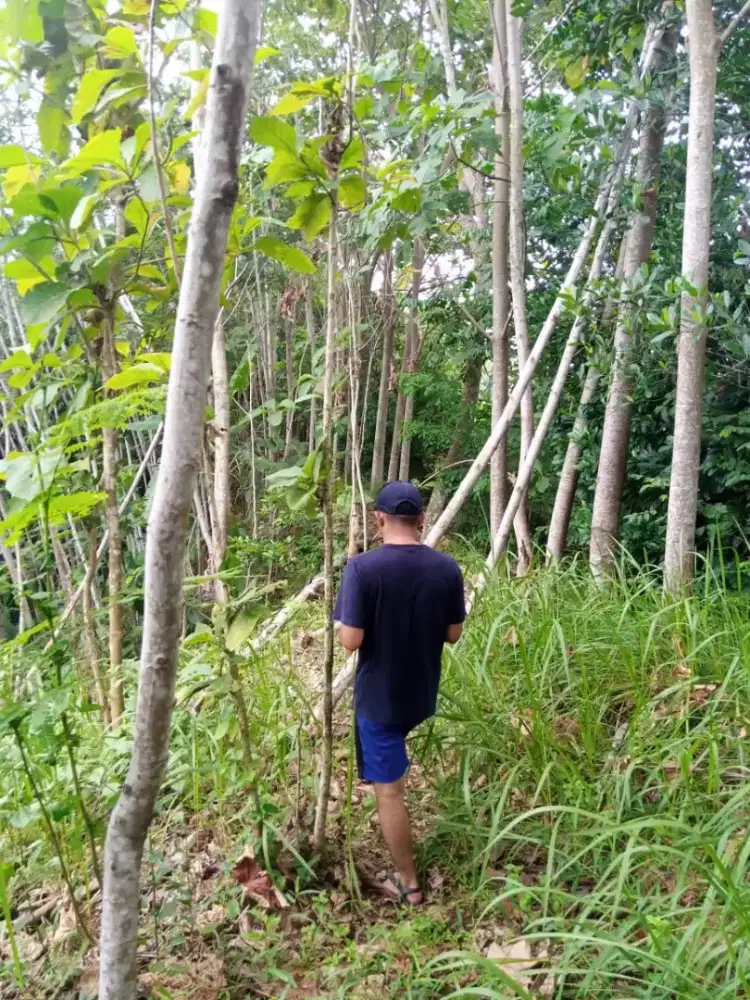 Dijual murah 130jt nego