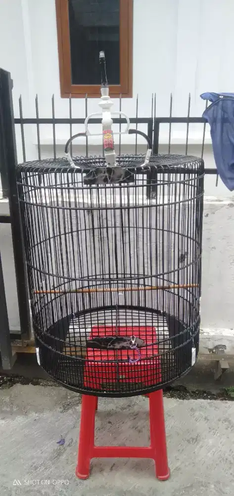 Kk Mb No.2 Oriq Jaya