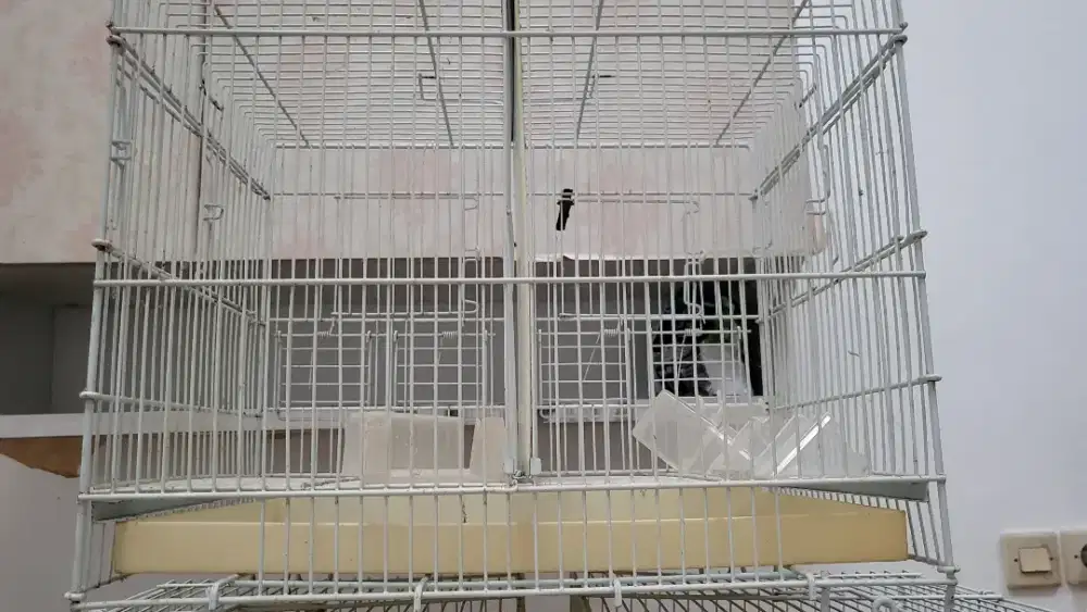 Kandang burung sekat besi