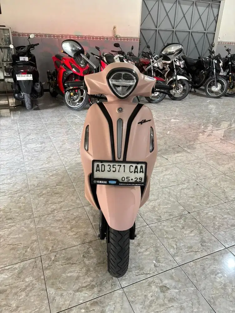 GRAND FILANO PINK 2024