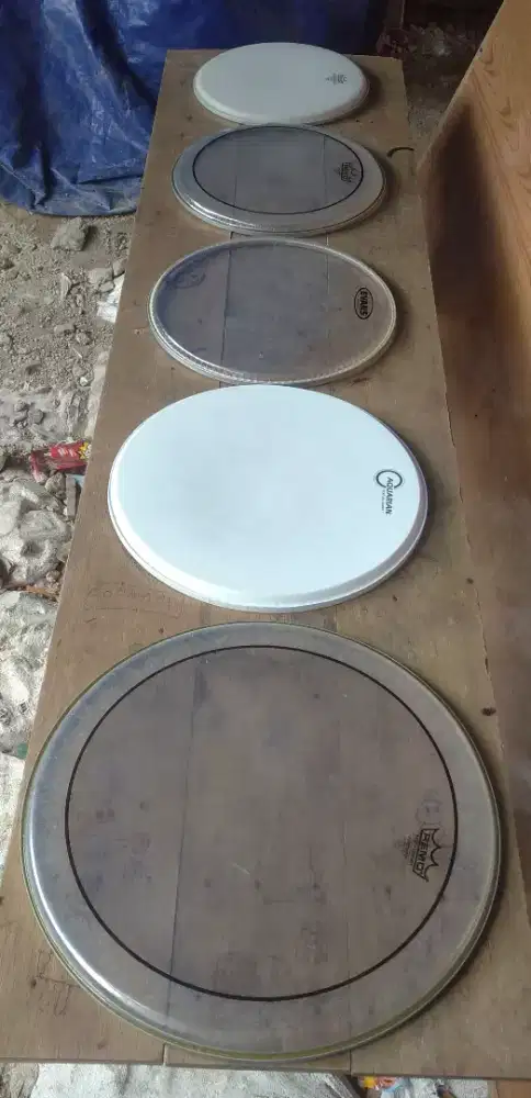 Skin head drum Remo,Evans,&aquarian