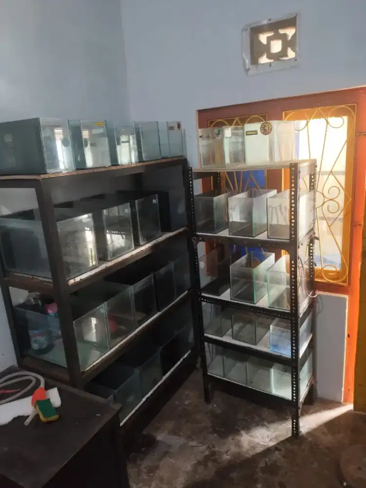 Rak Aquarium dan Aquarium