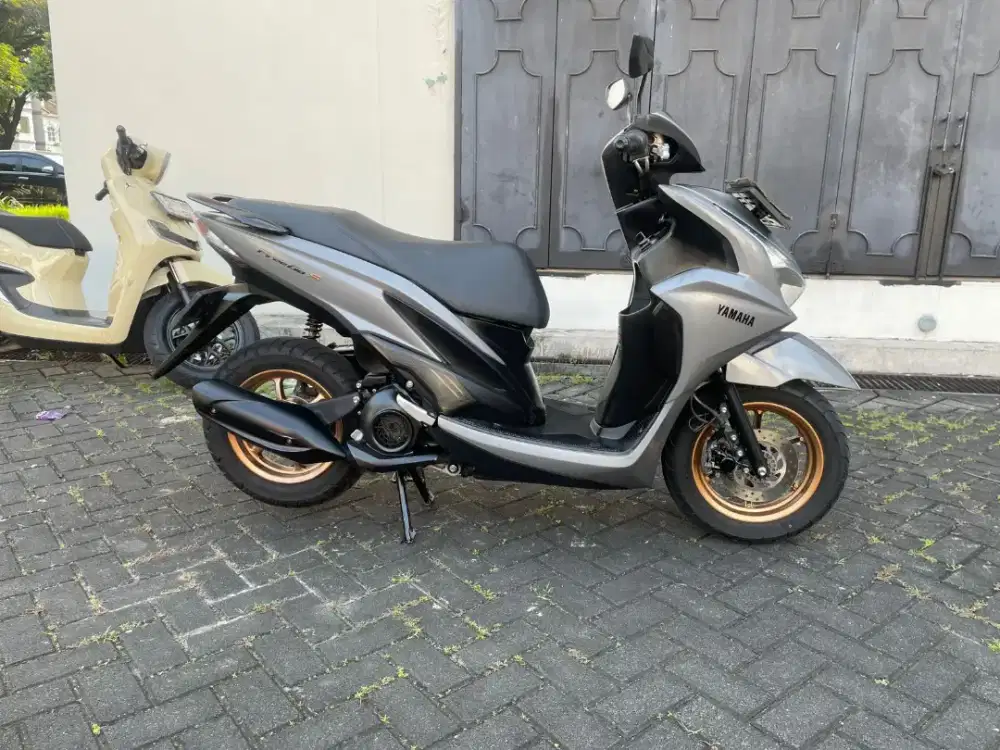 Freego S Con 2025 Pajak Panjang