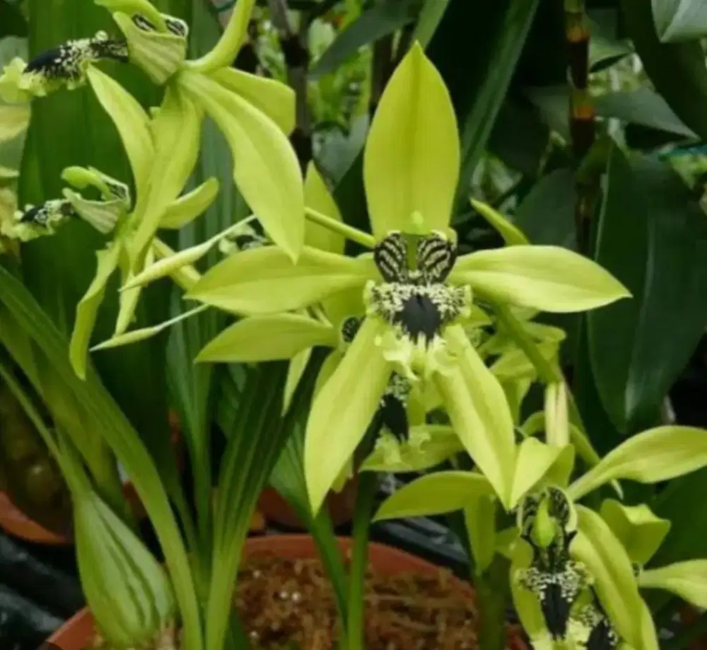 Cari kerjaan Driver apa saja.