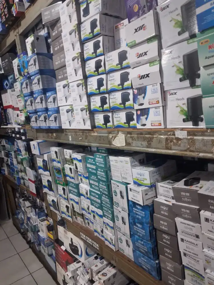 lowongan kerja untuk Agen asesoris aquarium