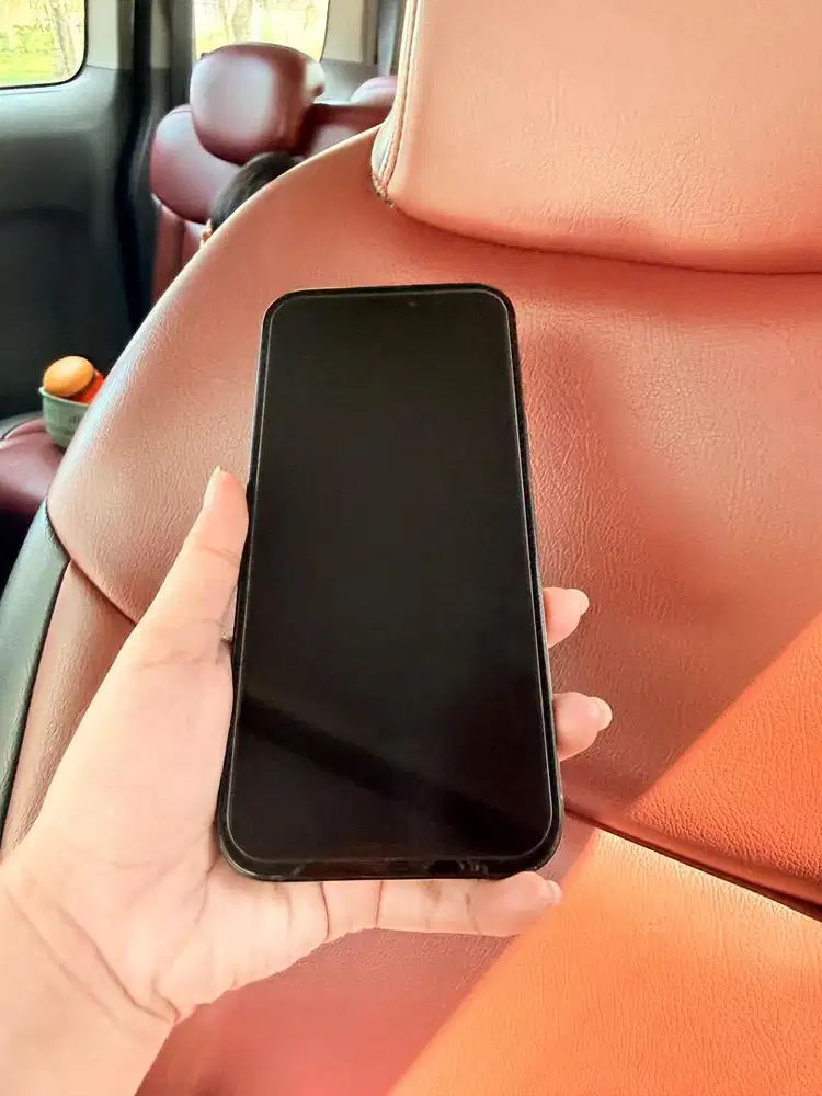 Iphone 16 pm 256gb bea cukai fullset