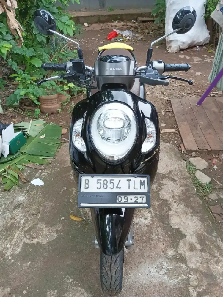 Honda scoopy prestige