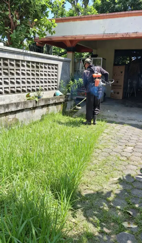 Jasa potong rumput dan bersih bersih kebun