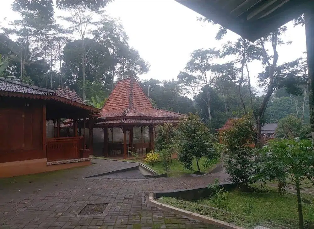Dikontrakkan/tahunrumah