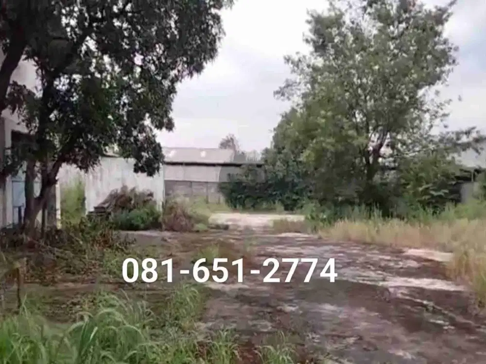 Tanah di Gunung Gangsir Beji Pasuruan