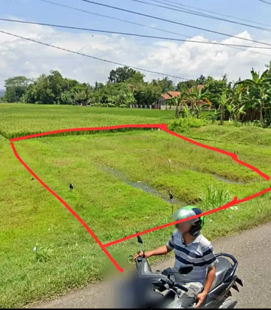 TANAH SAWAH 340 M2 - SHM - Pinggir Jalan Utama Desa